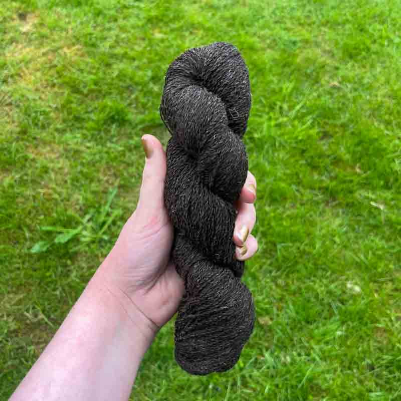 100% Scottish Wool: Zwartbles