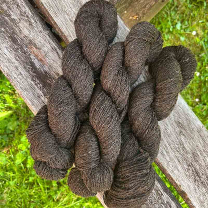 100% Scottish Wool: Zwartbles